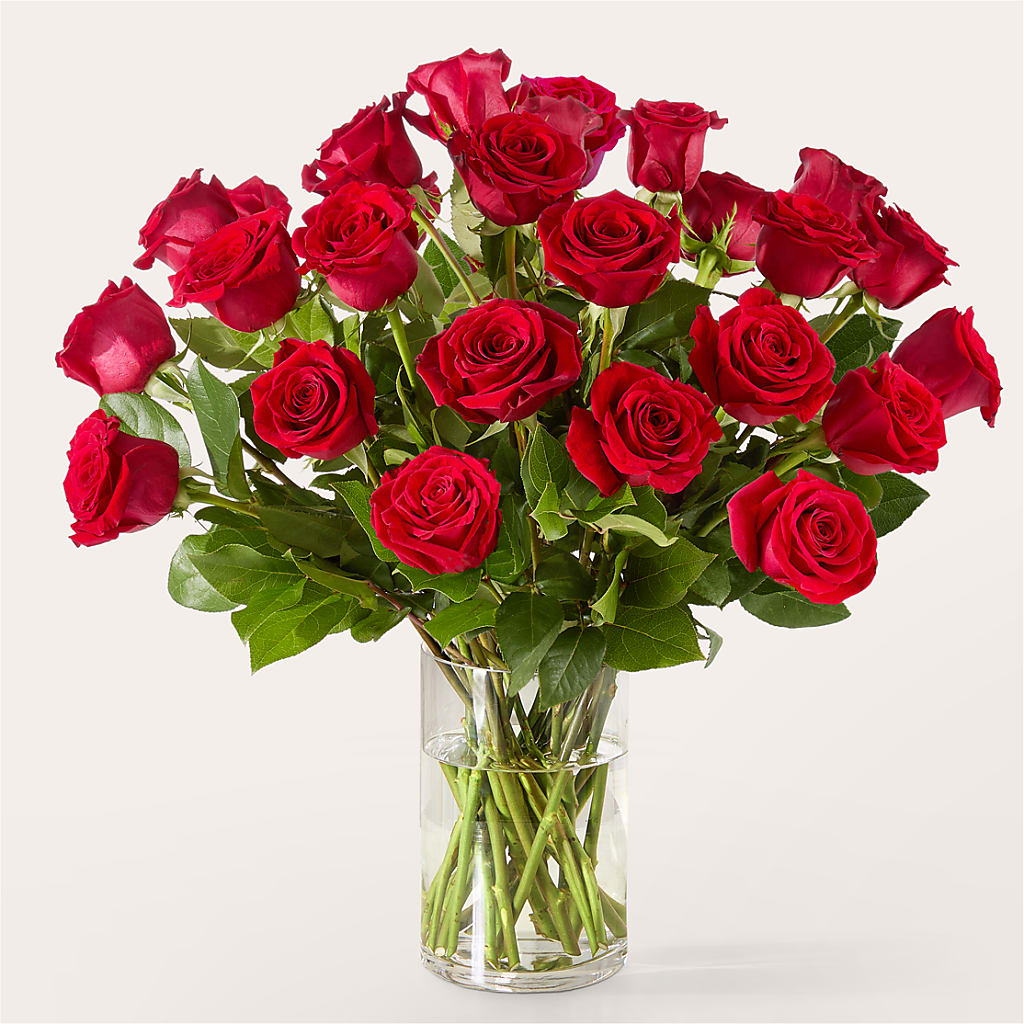 The One Red Rose Bouquet – PAUL'S FLOWERS, Charlottetown PE
