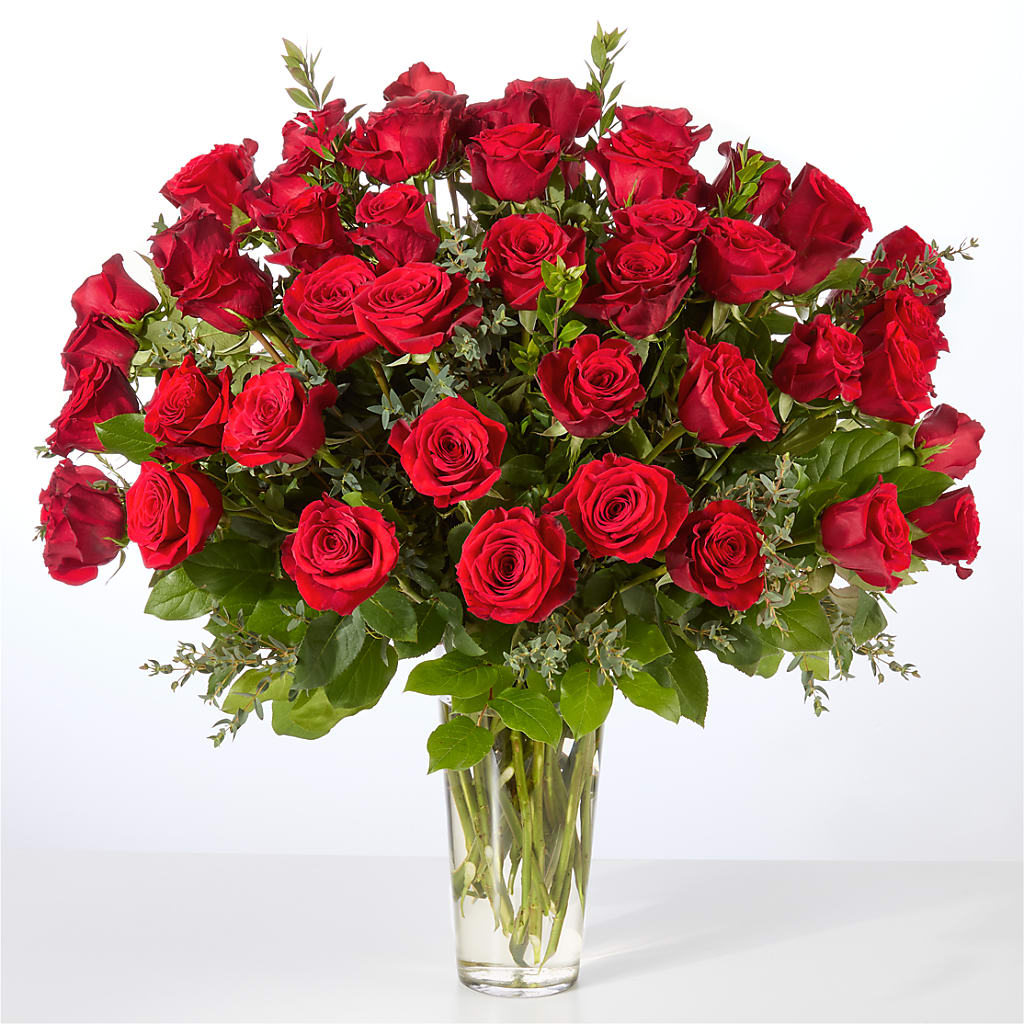 Forever Yours Fifty Stem Red Rose Bouquet – PAUL'S FLOWERS, Charlottetown PE