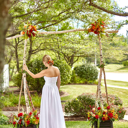 Arbor of Love Archway – PAUL'S FLOWERS, Charlottetown PE