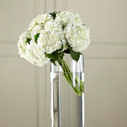 White Hydrangea Hand-Tied Bouquet – PAUL'S FLOWERS, Charlottetown PE