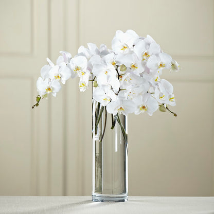 White Phalaenopsis Bouquet – PAUL'S FLOWERS, Charlottetown PE