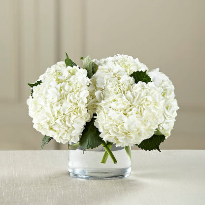 White Hydrangea Bouquet – PAUL'S FLOWERS, Charlottetown PE